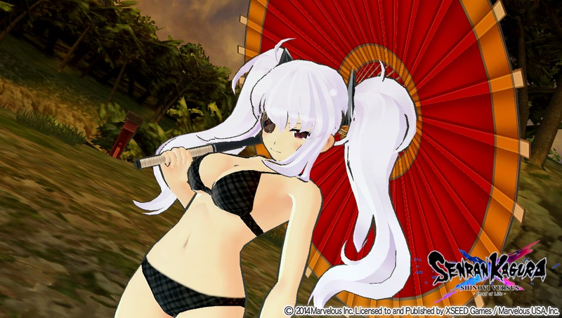Illustration for article titled Senran Kagura: Shinovi Versus: The TAY Review